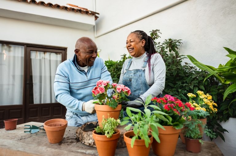 Repot Your Plants