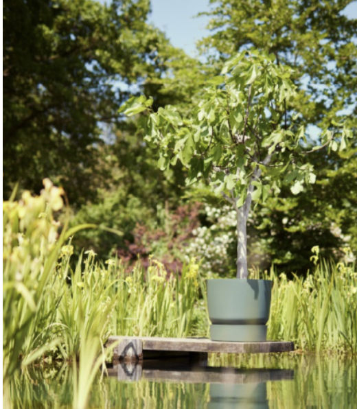 Big planters for garden style